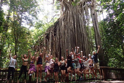 Atherton Tablelands Waterfalls Tour From Cairns - Great Ocean Road Tourism 5