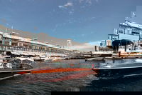 Private Icons and Highlights Cruise of Sydney Harbour