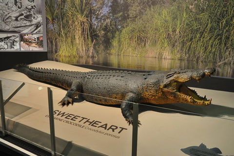 Explore Darwin City Sights Including Key Attractions - Great Ocean Road Tourism 2