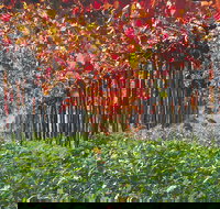 Margaret River Private Tour - Great Ocean Road Tourism