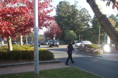 PRIVATE All-Day Blue Mountains Tour With Professional Guide For Up To 4 People - Great Ocean Road Tourism 1