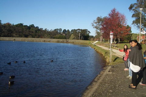 PRIVATE All-Day Blue Mountains Tour With Professional Guide For Up To 4 People - Great Ocean Road Tourism 2