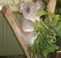 Blue Mountains Private Full-Day Tour from Sydney with Cruise - Great Ocean Road Tourism