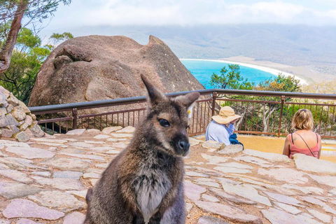 Wineglass Bay & Freycinet NP Full Day Tour From Hobart Via Richmond Village - Great Ocean Road Tourism 0