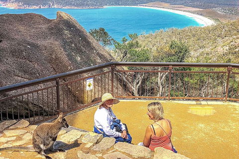 Wineglass Bay & Freycinet NP Full Day Tour From Hobart Via Richmond Village - Great Ocean Road Tourism 1