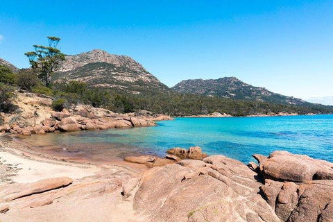 Wineglass Bay & Freycinet NP Full Day Tour From Hobart Via Richmond Village - Great Ocean Road Tourism 5