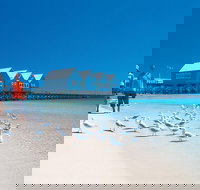 Margaret River and Geographe Bay Region Day Trip from Perth - Great Ocean Road Tourism