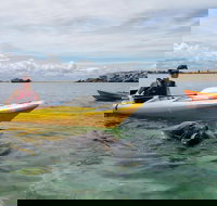 Seal Island and Penguin Island or Point Peron Sea Kayak Tour - Great Ocean Road Tourism