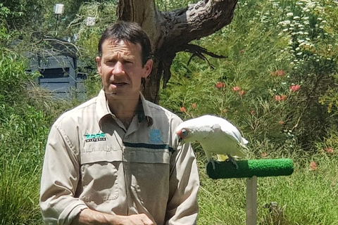 Healesville Sanctuary And Rayners Orchard Tour From Melbourne - Great Ocean Road Tourism 0