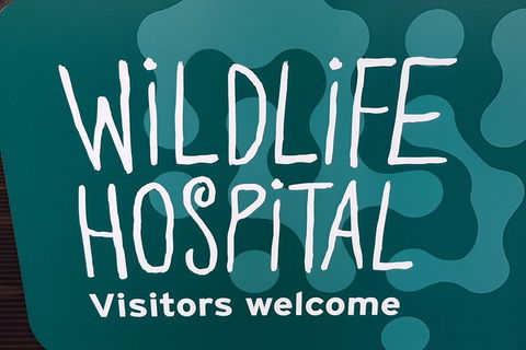 Healesville Sanctuary And Rayners Orchard Tour From Melbourne - Great Ocean Road Tourism 1