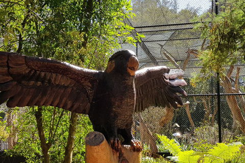 Healesville Sanctuary And Rayners Orchard Tour From Melbourne - Great Ocean Road Tourism 2