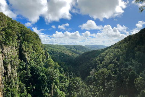 Exclusive Private Tour - Design Your Own - Great Ocean Road Tourism 3