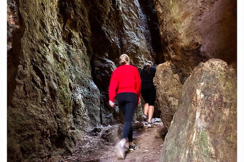 Exclusive Private Tour - Design Your Own - Great Ocean Road Tourism 4
