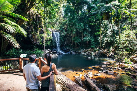 Aquaduck & Your Choice Of Gold Coast Rainforest Tour - Great Ocean Road Tourism 0