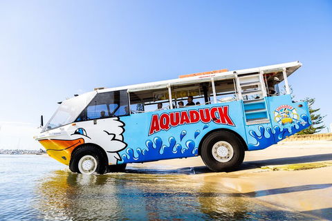 Aquaduck & Your Choice Of Gold Coast Rainforest Tour - Great Ocean Road Tourism 3