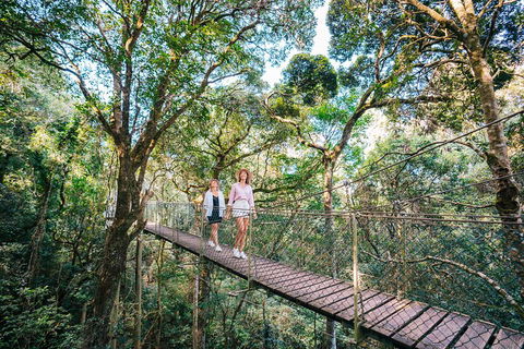 Aquaduck & Your Choice Of Gold Coast Rainforest Tour - Great Ocean Road Tourism 4