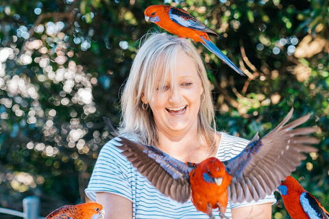 Aquaduck & Your Choice Of Gold Coast Rainforest Tour - Great Ocean Road Tourism 5