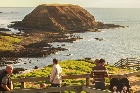 Healesville Sanctuary And Phillip Island Wildlife Bus Tour - Great Ocean Road Tourism 3