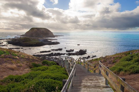 Healesville Sanctuary And Phillip Island Wildlife Bus Tour - Great Ocean Road Tourism 5
