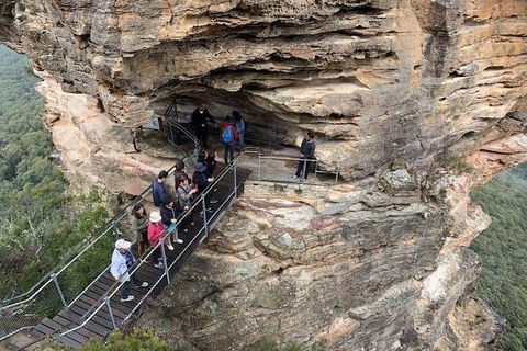 PJ Blue Mountains Supreme Day Tour - Great Ocean Road Tourism 0