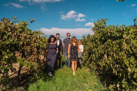 Barossa Valley Private Tour (from 2 To 11 People) - Great Ocean Road Tourism 0