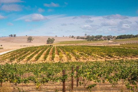 Barossa Valley Private Tour (from 2 To 11 People) - Great Ocean Road Tourism 2