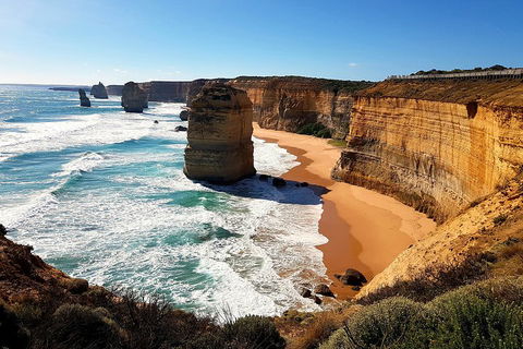 Helicopter Flight + Fine Dining Private Luxury Great Ocean Road Tour - Great Ocean Road Tourism 4