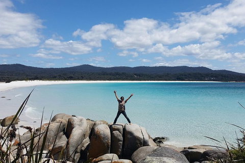 Tasmania 4 Day East Coast + Launceston - Great Ocean Road Tourism 1