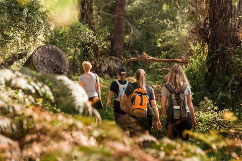 Cabaret Cave Yoga & Mindful Hike - Great Ocean Road Tourism 2