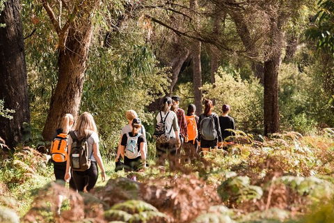 Half-Day Yanchep Ghost House Wilderness Guided Hike Tour - Great Ocean Road Tourism 0