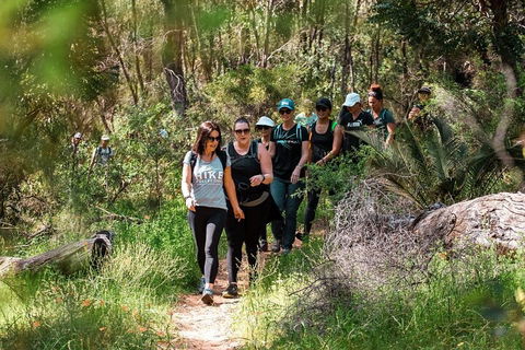 Half-Day Yanchep Ghost House Wilderness Guided Hike Tour - Great Ocean Road Tourism 3