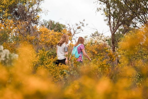 Half-Day Yanchep Ghost House Wilderness Guided Hike Tour - Great Ocean Road Tourism 4