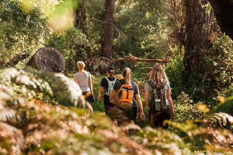 Half-Day Yanchep Ghost House Wilderness Guided Hike Tour - Great Ocean Road Tourism 5