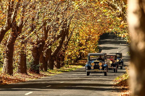 Blue Mountains Vintage Cadillac Tour With Local Guide - Great Ocean Road Tourism 1