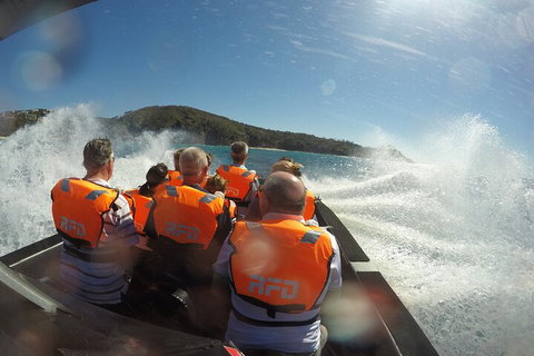 Noosa Thriller - 500hp Ocean Adventure Ride - Great Ocean Road Tourism 3