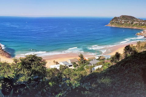 Manly & Sydney's Northern Beaches With 'Personalised Sydney Tours' - Great Ocean Road Tourism 2
