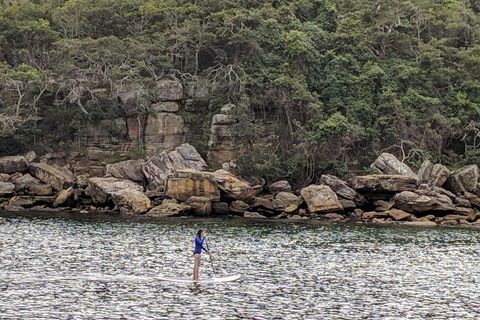 Manly & Sydney's Northern Beaches With 'Personalised Sydney Tours' - Great Ocean Road Tourism 3