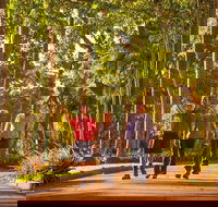 Darwin City Sights and Jumping Crocodile Cruise - Great Ocean Road Tourism