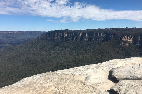 The Explorers' Discovery Tour - Gold, Wine & Wildlife - Great Ocean Road Tourism 1