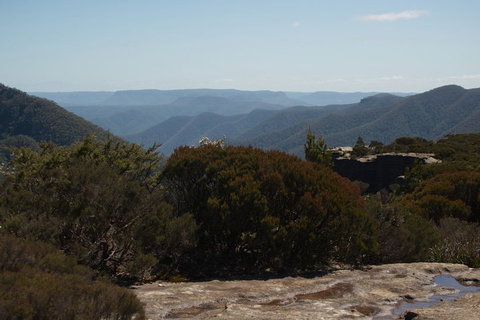 The Explorers' Discovery Tour - Gold, Wine & Wildlife - Great Ocean Road Tourism 3