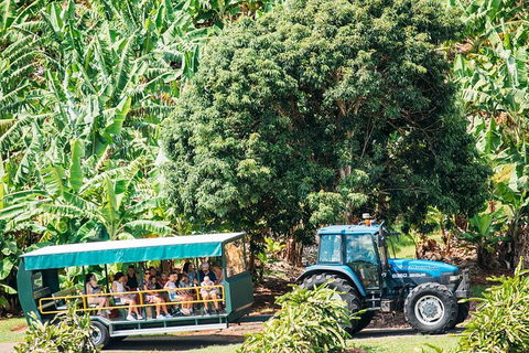 Northern Rivers Full Day Wine Tour - Great Ocean Road Tourism 1