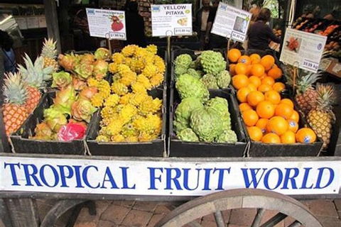 Northern Rivers Full Day Wine Tour - Great Ocean Road Tourism 3