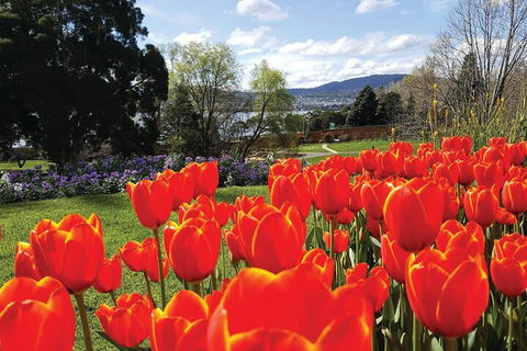 Hobart Half-Day Sightseeing Coach Tram Tour - Great Ocean Road Tourism 4