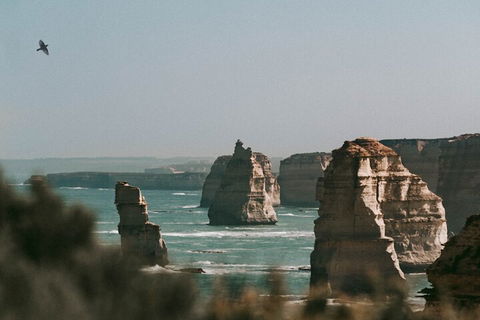 Half-Day Or Full-Day Tour With Private Guide From Melbourne - Great Ocean Road Tourism 0