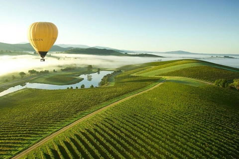 Half-Day Or Full-Day Tour With Private Guide From Melbourne - Great Ocean Road Tourism 4