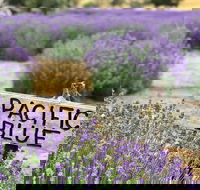 Kangaroo Island Food and Wine Trail Tour - Great Ocean Road Tourism