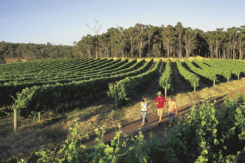 Margaret River, Caves, Wine And Cape Leeuwin Lighthouse Tour From Perth - Great Ocean Road Tourism 1