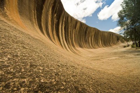 Wave Rock, York, Wildflowers, And Aboriginal Cultural Day Tour From Perth - Great Ocean Road Tourism 0