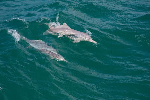 North Stradbroke Island Private Tour With Pickup - Great Ocean Road Tourism 0