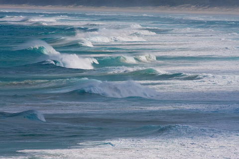 North Stradbroke Island Private Tour With Pickup - Great Ocean Road Tourism 3